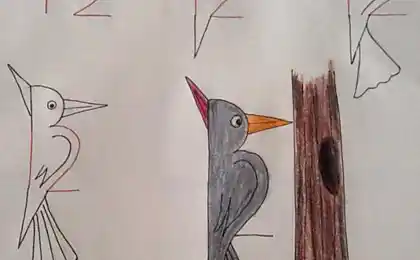Aprender niño dibuje con los números