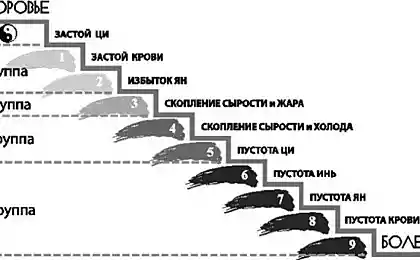 9 конституциональных типов: оценка уровня здоровья человека