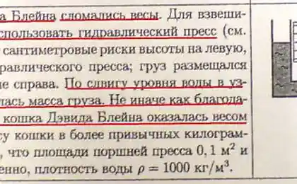 Девид Блейн уже в школах!