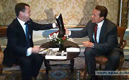 Медведев и Шварценеггер