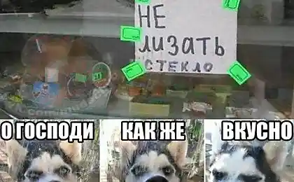 Не лизать стекло!