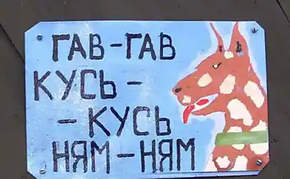 Гав-гав, кусь-кусь