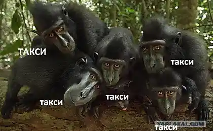 Коли я залишаю аеропорт.
