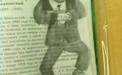 Чем только не занимаются на уроках