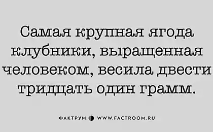 Познавательные факты о нашем мире, которые расширят ваш кругозор