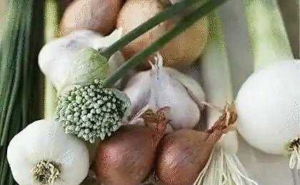 3最受欢迎的食物在中世纪