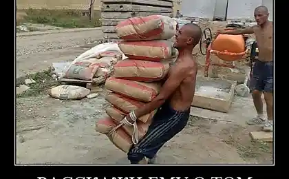 Сильний, прогулянка!