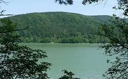 Как можно так загадить природу (16 фотографий)