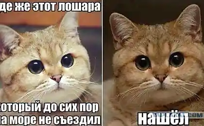 Де він?