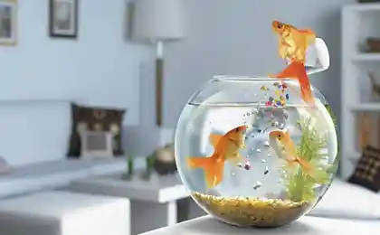 Works of unknown masters