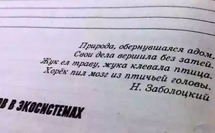 Новое слово в современном образовании