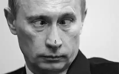 Что у них на носу (6 фото)