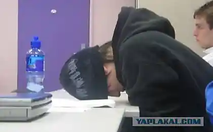 Чем на самом деле занимаются студенты!