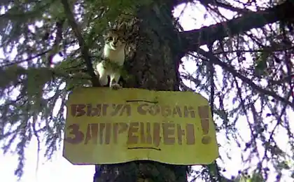 КПМ?
