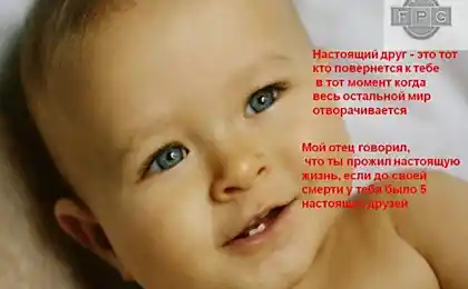 Що таке дружбу?