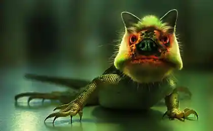 3D Картинки