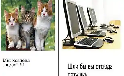 Комиксы