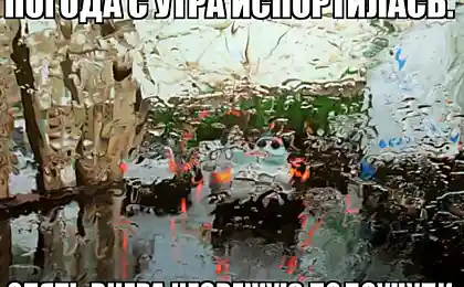 Пришла пора такая