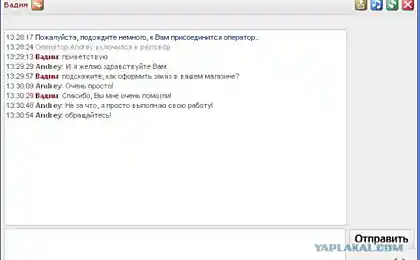 Онлайн-консультанты