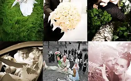 Fotos de la boda