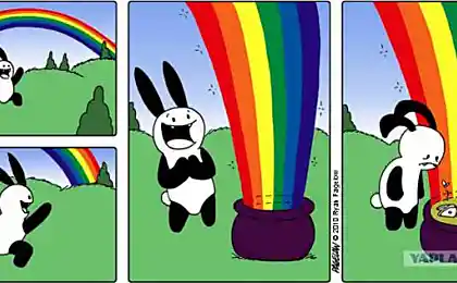 BUNI Кроля
