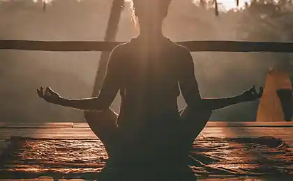 Ama tu infierno: por qué la aceptación es más poderosa que la lucha y cómo encontrar la paz