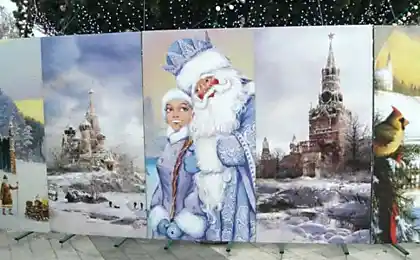Головне дерево Краснодара