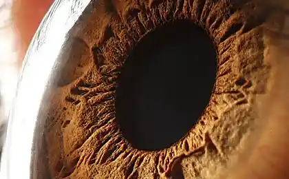 Фотографии глаз (20 фотографии)