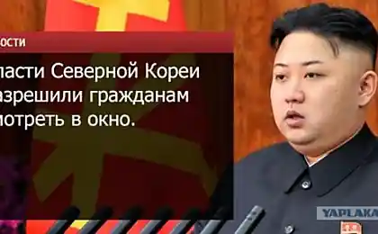 В Корее новый закон