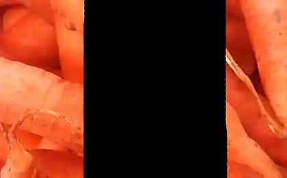 Для одиноких вегетарианцев