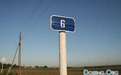 А у нас на даче завелась...