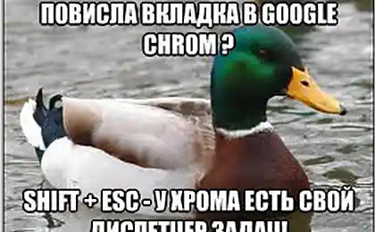 Дак-адміністратор