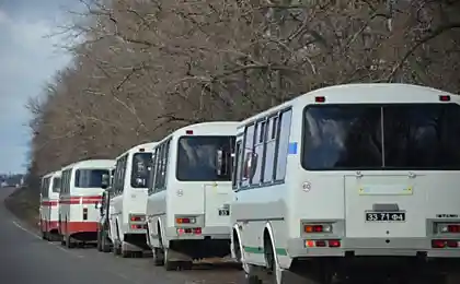 Пять автобусов с "Беркутом" двигаются по трассе Кременчуг - Киев в сторону столицы