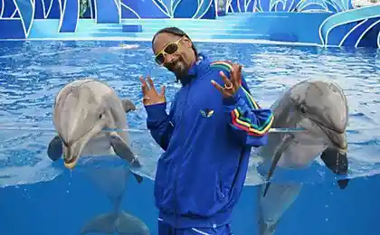 Snoop Dog с дельфинами