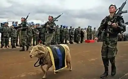 Армия