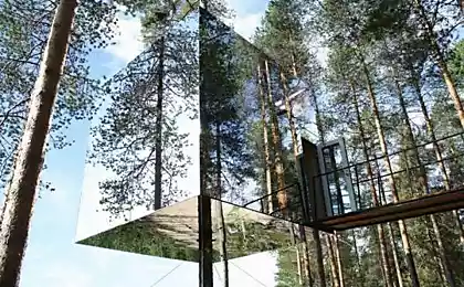 Treehotel — зеркальный домик на дереве