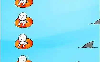 ОЙ! Что это? Акула?