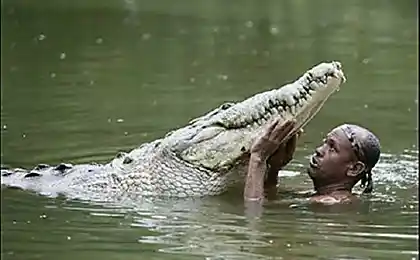 Дружба з Crocodile (4 фото)