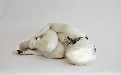 不明直觉:什么是社会恐惧症