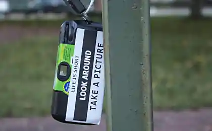 Эксперимент "Жизнь коротка".