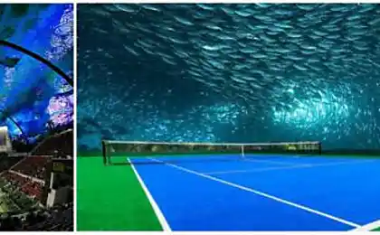 世界上第一个水下网球场将建在迪拜