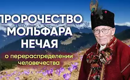 Мольфар Нечай предсказал коронавирус и даже войну, о чём он еще предупреждал