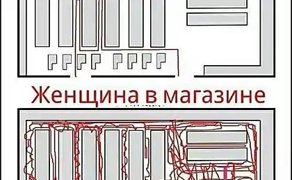 В поисках неведомого