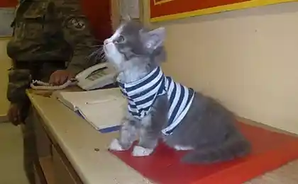 Дежурный по роте .....))))
