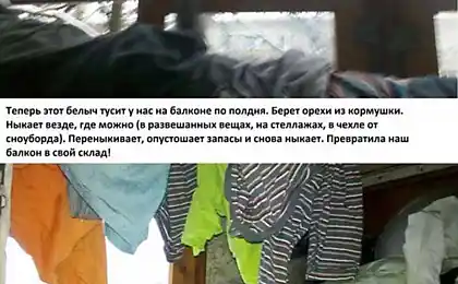Нахабство