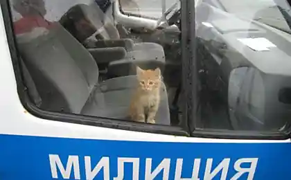 И на чёрной скамье, на скамье подсудимых...