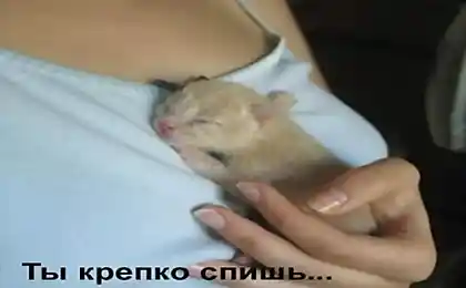 Немного о работе