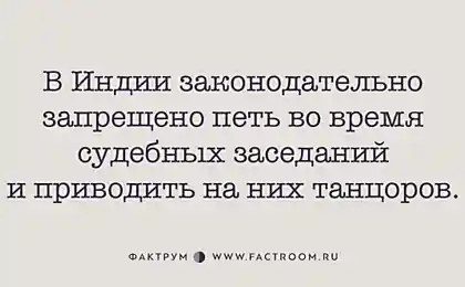 Впечатляющие факты из разных областей жизни, которым стоит уделить внимание