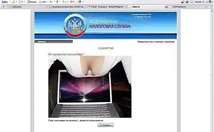 Российские интернетчики всю ночь издевались над сайтом ФНС