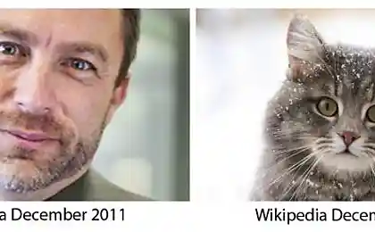 В 2012 Wikipedia наберет больше денег